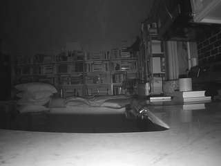 voyeurcam bridgetleewalters 02